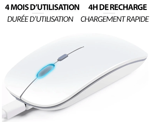 Souris sans fil rechargeable-3 niveaux de sensibilité